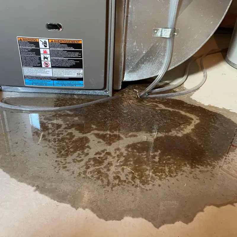 Appliance Leak Cleanup in Village Park, HI