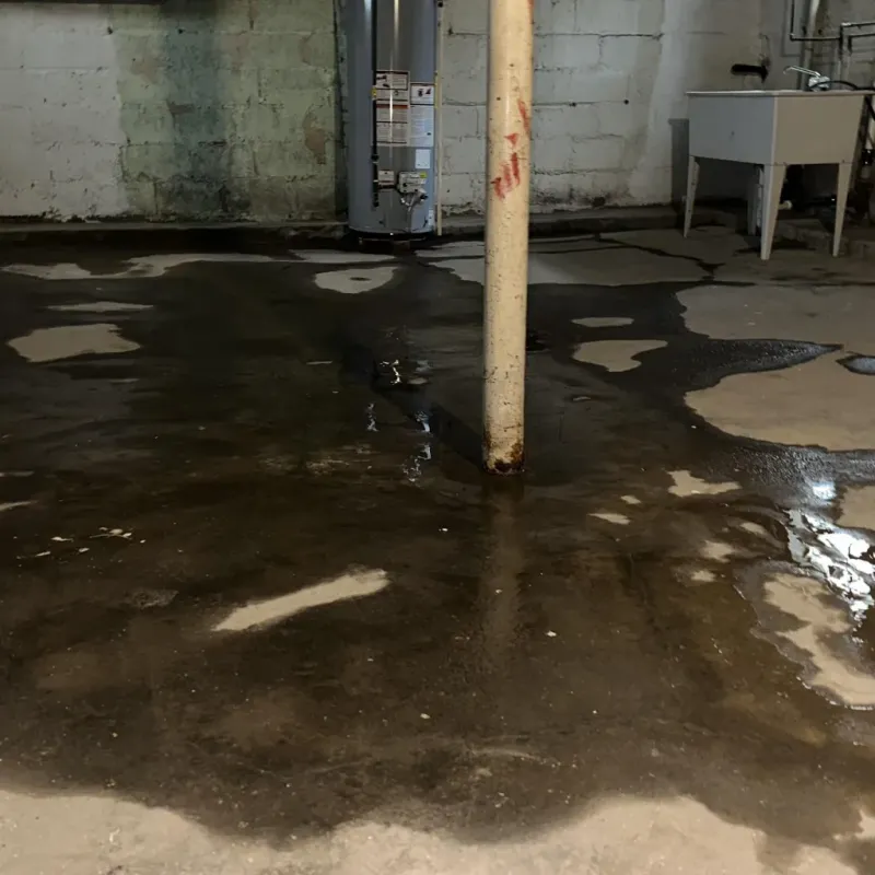 Emergency Water Extraction And Removal in Village Park, HI